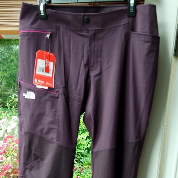 the north face progressor pants